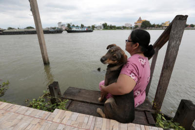 หมาตกเรือ นั่งรอเจ้าของที่ท่าน้ำทุกวันเลย