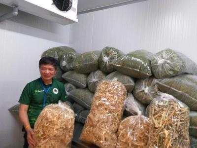 Highs and lows of cannabis growers
