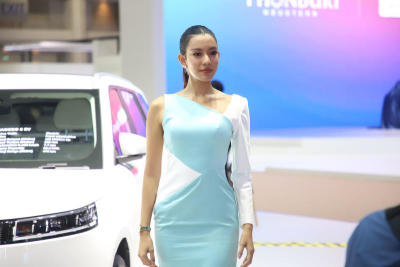 B5bn fund propels motor show sales