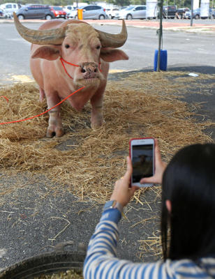 เกษตรเจ้าคุณทหารแฟร์