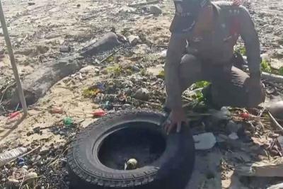 Live grenade washes ashore