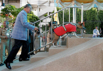 King Bhumibhol-Khun Tongdaeng