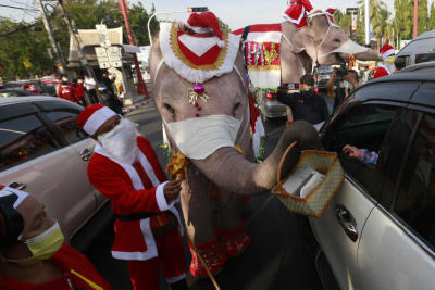 ช้างแซนคาครอส