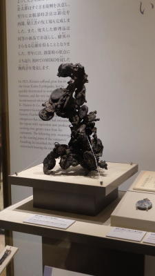 From nature to your wrist