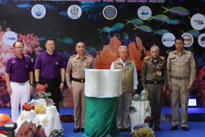 Artificial reefs boost restoration efforts