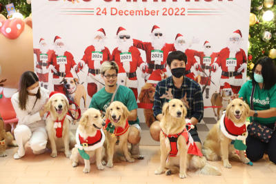 Reindeer replacements