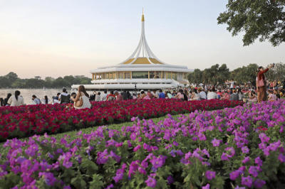 Flowers bloom at King Rama IX Park 2024