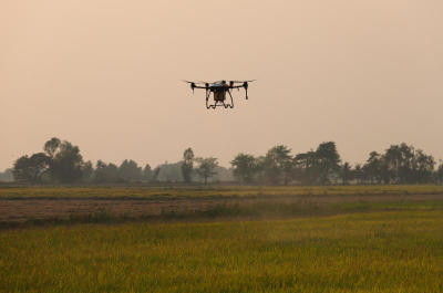 Drone