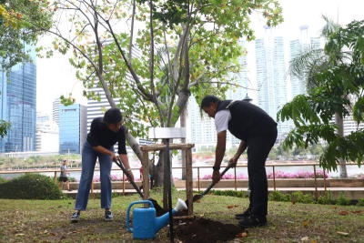 Filipino Embassy and Bangkok Metropolitan Administration held the Narra Tree Planting ceremony marking the 75th Anniversary of Thailand-the Philippines bilateral relationship.