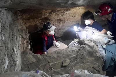 Skeleton points to prehistoric life
