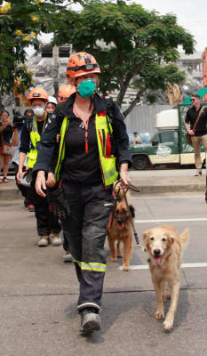Rescuers push forward despite odds